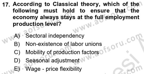 Introduction to Economics 2 Dersi 2025 - 2026 Yılı (Vize) Ara Sınav Soruları 17. Soru