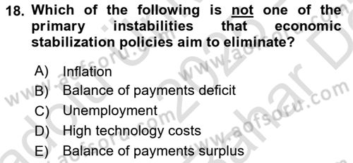 Introduction to Economics 2 Dersi 2025 - 2026 Yılı (Vize) Ara Sınav Soruları 18. Soru