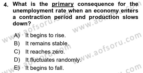 Introduction to Economics 2 Dersi 2025 - 2026 Yılı (Vize) Ara Sınav Soruları 4. Soru