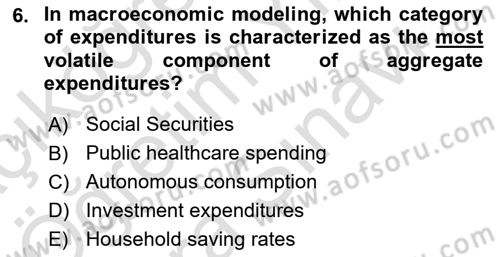 Introduction to Economics 2 Dersi 2025 - 2026 Yılı (Vize) Ara Sınav Soruları 6. Soru