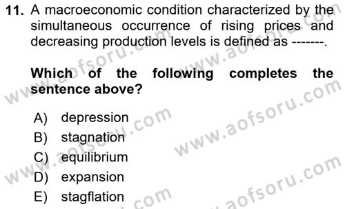 Introduction to Economics 2 Dersi 2025 - 2026 Yılı (Final) Dönem Sonu Sınav Soruları 11. Soru