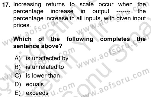 Introduction to Economics 2 Dersi 2025 - 2026 Yılı (Final) Dönem Sonu Sınav Soruları 17. Soru