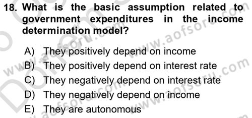 Introduction to Economics 2 Dersi 2025 - 2026 Yılı (Final) Dönem Sonu Sınav Soruları 18. Soru