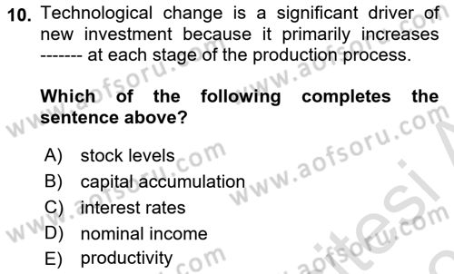 Introduction to Economics 2 Dersi 2025 - 2026 Yılı Yaz Okulu Sınav Soruları 10. Soru