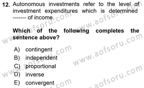 Introduction to Economics 2 Dersi 2025 - 2026 Yılı Yaz Okulu Sınav Soruları 12. Soru