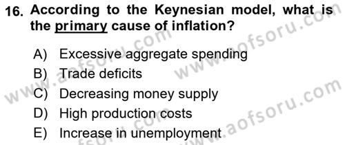Introduction to Economics 2 Dersi 2025 - 2026 Yılı Yaz Okulu Sınav Soruları 16. Soru