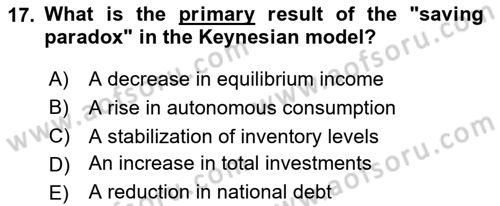 Introduction to Economics 2 Dersi 2025 - 2026 Yılı Yaz Okulu Sınav Soruları 17. Soru