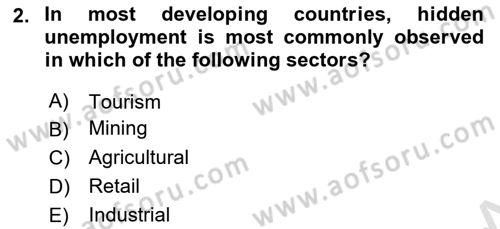 Introduction to Economics 2 Dersi 2025 - 2026 Yılı Yaz Okulu Sınav Soruları 2. Soru