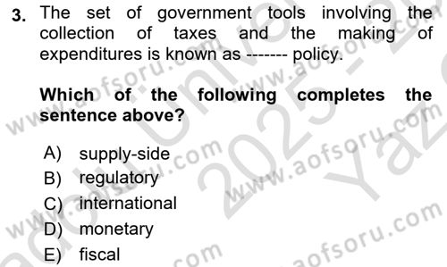 Introduction to Economics 2 Dersi 2025 - 2026 Yılı Yaz Okulu Sınav Soruları 3. Soru