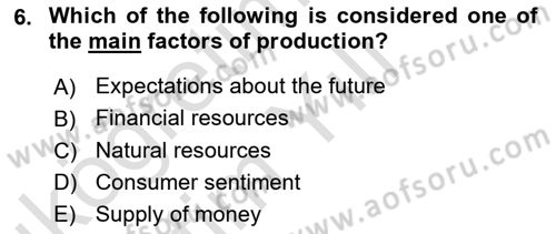 Introduction to Economics 2 Dersi 2025 - 2026 Yılı Yaz Okulu Sınav Soruları 6. Soru