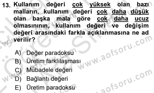 Ekonomi Sosyolojisi Dersi 2021 - 2022 Yılı (Vize) Ara Sınav Soruları 13. Soru