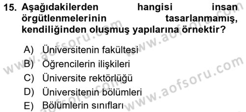 Ekonomi Sosyolojisi Dersi 2021 - 2022 Yılı (Vize) Ara Sınav Soruları 15. Soru