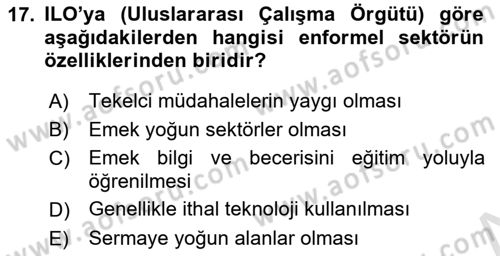 Ekonomi Sosyolojisi Dersi 2021 - 2022 Yılı (Vize) Ara Sınav Soruları 17. Soru