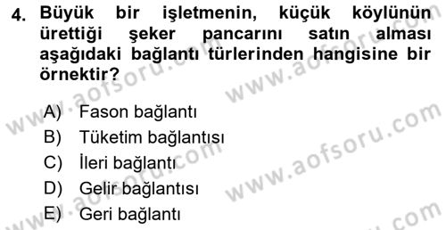 Ekonomi Sosyolojisi Dersi 2021 - 2022 Yılı (Vize) Ara Sınav Soruları 4. Soru