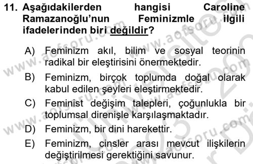Ekonomi Sosyolojisi Dersi 2023 - 2024 Yılı (Vize) Ara Sınav Soruları 11. Soru