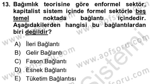 Ekonomi Sosyolojisi Dersi 2023 - 2024 Yılı (Vize) Ara Sınav Soruları 13. Soru