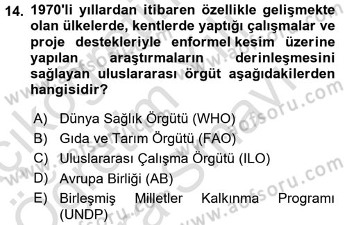 Ekonomi Sosyolojisi Dersi 2023 - 2024 Yılı (Vize) Ara Sınav Soruları 14. Soru