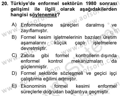 Ekonomi Sosyolojisi Dersi 2023 - 2024 Yılı (Vize) Ara Sınav Soruları 20. Soru