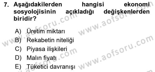 Ekonomi Sosyolojisi Dersi 2023 - 2024 Yılı (Vize) Ara Sınav Soruları 7. Soru
