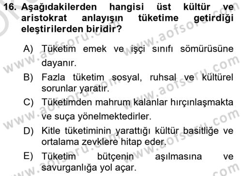 Ekonomi Sosyolojisi Dersi 2024 - 2025 Yılı Yaz Okulu Sınav Soruları 16. Soru