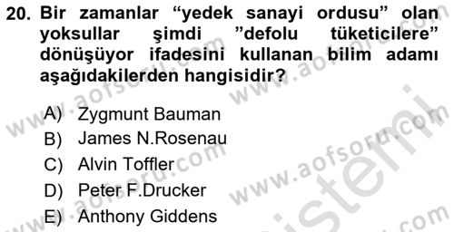 Ekonomi Sosyolojisi Dersi 2024 - 2025 Yılı Yaz Okulu Sınav Soruları 20. Soru