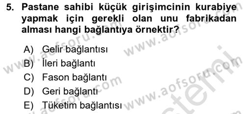 Ekonomi Sosyolojisi Dersi 2024 - 2025 Yılı Yaz Okulu Sınav Soruları 5. Soru