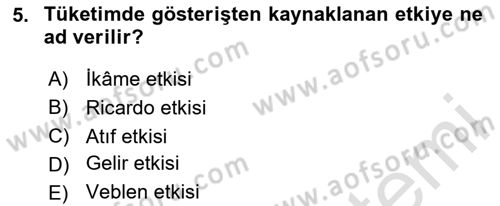 İktisadi Düşünceler Tarihi Dersi 2024 - 2025 Yılı (Final) Dönem Sonu Sınav Soruları 5. Soru
