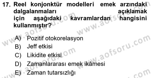 İktisadi Düşünceler Tarihi Dersi 2024 - 2025 Yılı Yaz Okulu Sınav Soruları 17. Soru