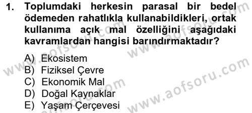 Doğal Kaynaklar ve Çevre Ekonomisi Dersi 2012 - 2013 Yılı (Vize) Ara Sınav Soruları 1. Soru