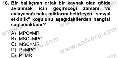 Doğal Kaynaklar ve Çevre Ekonomisi Dersi 2012 - 2013 Yılı (Vize) Ara Sınav Soruları 18. Soru