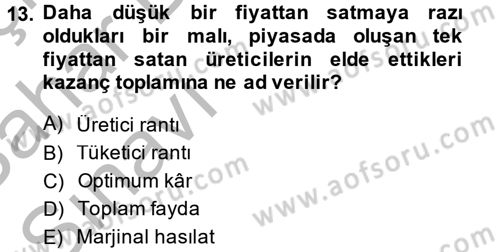 Doğal Kaynaklar ve Çevre Ekonomisi Dersi 2013 - 2014 Yılı (Vize) Ara Sınavı 13. Soru