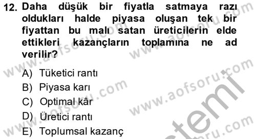 Doğal Kaynaklar ve Çevre Ekonomisi Dersi 2014 - 2015 Yılı (Vize) Ara Sınav Soruları 12. Soru