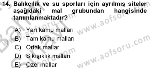 Doğal Kaynaklar ve Çevre Ekonomisi Dersi 2016 - 2017 Yılı (Vize) Ara Sınav Soruları 14. Soru