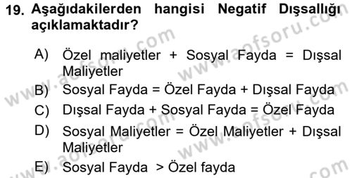 Doğal Kaynaklar ve Çevre Ekonomisi Dersi 2016 - 2017 Yılı (Vize) Ara Sınav Soruları 19. Soru