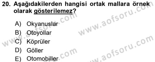 Doğal Kaynaklar ve Çevre Ekonomisi Dersi 2017 - 2018 Yılı (Vize) Ara Sınavı 20. Soru