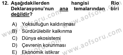 Doğal Kaynaklar ve Çevre Ekonomisi Dersi 2017 - 2018 Yılı (Final) Dönem Sonu Sınav Soruları 12. Soru