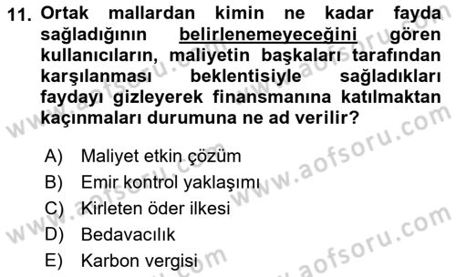 Doğal Kaynaklar ve Çevre Ekonomisi Dersi 2018 - 2019 Yılı 3 Ders Sınav Soruları 11. Soru