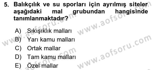 Doğal Kaynaklar ve Çevre Ekonomisi Dersi 2018 - 2019 Yılı 3 Ders Sınav Soruları 5. Soru