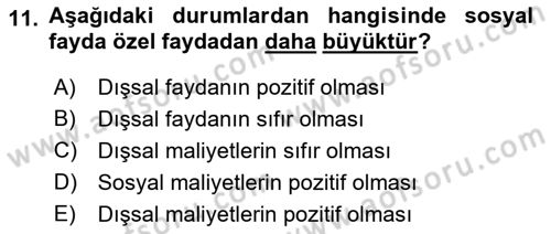 Doğal Kaynaklar ve Çevre Ekonomisi Dersi 2018 - 2019 Yılı (Vize) Ara Sınavı 11. Soru