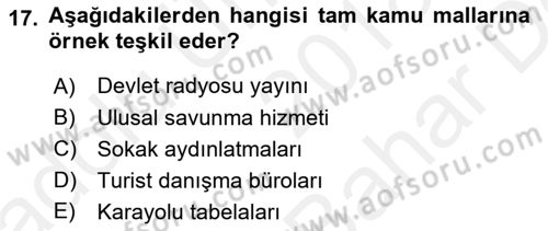 Doğal Kaynaklar ve Çevre Ekonomisi Dersi 2018 - 2019 Yılı (Vize) Ara Sınavı 17. Soru