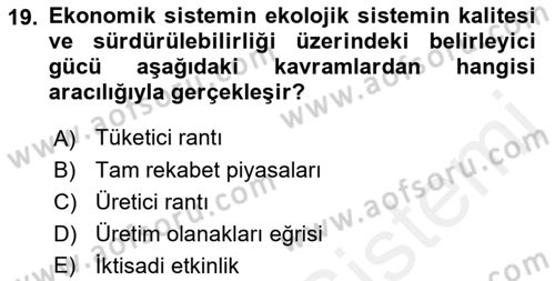 Doğal Kaynaklar ve Çevre Ekonomisi Dersi 2018 - 2019 Yılı (Vize) Ara Sınavı 19. Soru