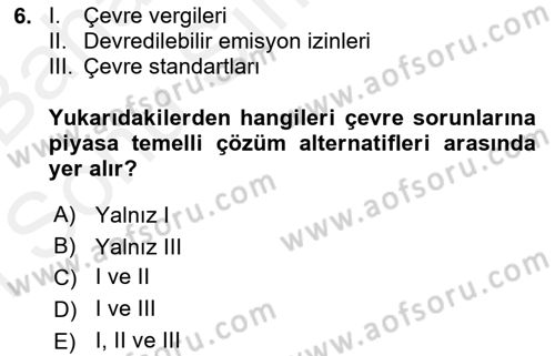 Doğal Kaynaklar ve Çevre Ekonomisi Dersi 2018 - 2019 Yılı (Final) Dönem Sonu Sınav Soruları 6. Soru