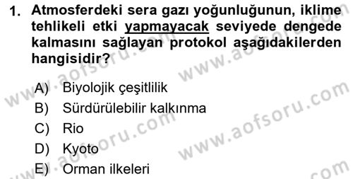 Doğal Kaynaklar ve Çevre Ekonomisi Dersi 2018 - 2019 Yılı Yaz Okulu Sınavı 1. Soru