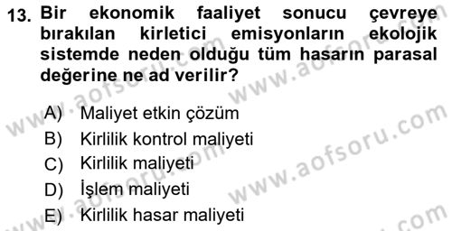 Doğal Kaynaklar ve Çevre Ekonomisi Dersi 2018 - 2019 Yılı Yaz Okulu Sınavı 13. Soru