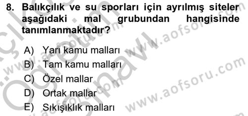 Doğal Kaynaklar ve Çevre Ekonomisi Dersi 2018 - 2019 Yılı Yaz Okulu Sınavı 8. Soru