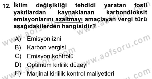 Doğal Kaynaklar ve Çevre Ekonomisi Dersi 2020 - 2021 Yılı Yaz Okulu Sınav Soruları 12. Soru