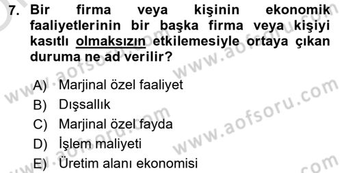 Doğal Kaynaklar ve Çevre Ekonomisi Dersi 2020 - 2021 Yılı Yaz Okulu Sınav Soruları 7. Soru