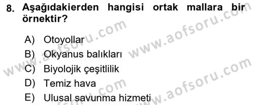 Doğal Kaynaklar ve Çevre Ekonomisi Dersi 2020 - 2021 Yılı Yaz Okulu Sınav Soruları 8. Soru