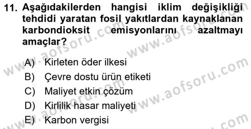 Doğal Kaynaklar ve Çevre Ekonomisi Dersi 2021 - 2022 Yılı (Final) Dönem Sonu Sınav Soruları 11. Soru