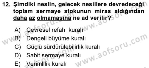 Doğal Kaynaklar ve Çevre Ekonomisi Dersi 2021 - 2022 Yılı (Final) Dönem Sonu Sınavı 12. Soru